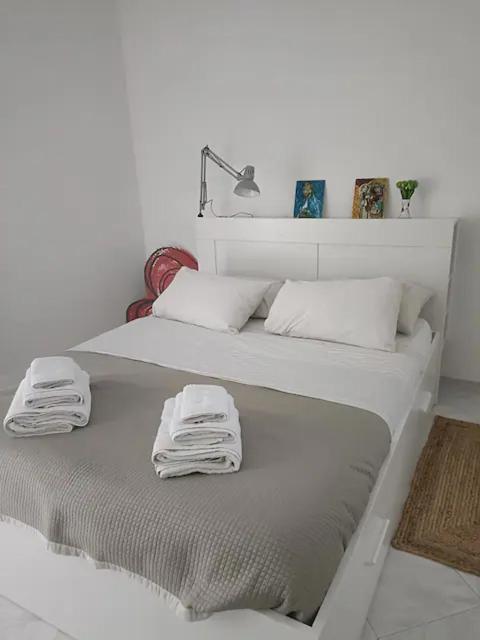Penthouse In Area With Very Large Terrace Lecce